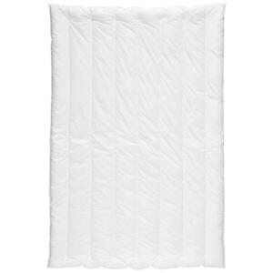 Centa-Star CELOROČNÁ PRIKRÝVKA, 135/200 cm, polyester vyobraziť