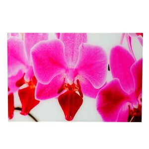 MCW SKLENENÁ OBRAZ ORCHIDEA Multicolor vyobraziť