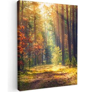 MuchoWow OBRAZ NA PLÁTNE Les - jeseň - stromy 30x40 cm vyobraziť