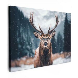 MuchoWow OBRAZ NA PLÁTNE Jeleň - Zvieratá - Krajina - Zima - Sneh 80x60 cm vyobraziť
