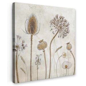 MuchoWow OBRAZ NA PLÁTNE Kvety - Akvarel - Zátišie - Hnedá - Vintage 20x20 cm vyobraziť