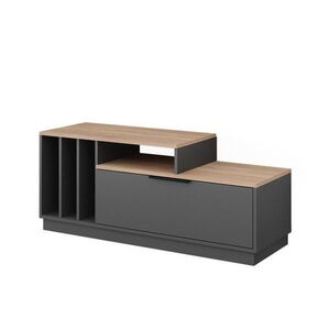 Vicco NÍZKA DOSKA Betti Anthracite/Sonoma 120 x 49.9 cm s 1 dverami vyobraziť