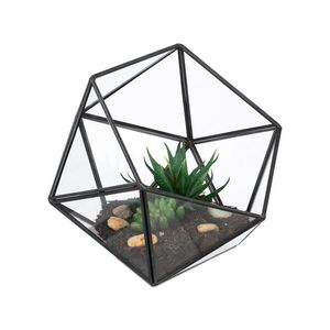 Relaxdays TERÁRIUM Čierna sklo geometrické vyobraziť