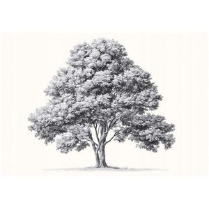 Wallarena FOTOTAPETA s abstraktným stromom sivá 150x105 cm vyobraziť