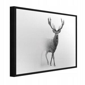 Wallarena ZARÁMOVANÉ obrazy jeleň hmlistá sivá 120x80 cm vyobraziť