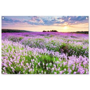 OnlyWow ZÁHRADNÝ PLAGÁT Kvety - Levanduľa - Fialová - Obloha - Západ slnka - Lúka - Príroda 90x60 cm vyobraziť