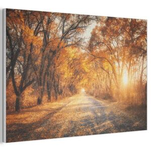 MuchoWow AKUSTICKÝ OBRAZ Les - Jeseň - Stromy - Lesná cesta - Príroda 90x60 cm vyobraziť