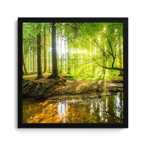 MuchoWow ZARÁMOVANÝ PLAGÁT Les - Krajina - Voda - Stromy - Slnko - Zelená - Príroda 40x40 cm vyobraziť