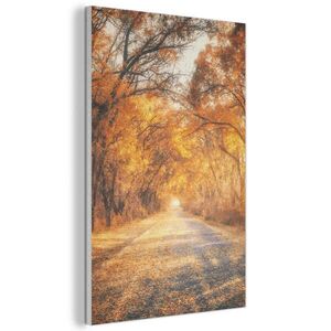 MuchoWow AKUSTICKÝ OBRAZ Les - Jeseň - Stromy - Lesná cesta - Príroda 60x90 cm vyobraziť