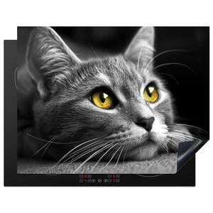 MuchoWow KRYT NA SPORÁK Mačka - Sivá - Zvieratá - Mačka 77x59 cm vyobraziť