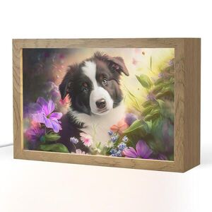 OnlyWow NOČNÁ LAMPA Šteniatko - Slnko - Kvety - Príroda - Border kólia - Pes 30x20 cm vyobraziť