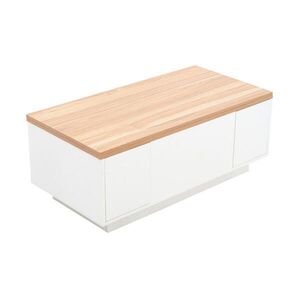 Redom KONFERENČNÝ stolík 100/50/55, 5 cm s dvojitým zdvíhacím mechanizmom a skrytým úložným priestorom, Biela vyobraziť