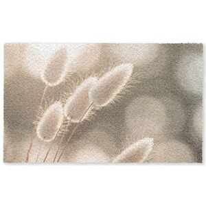 OnlyWow KOBERCE - Chvostoskok - Biely - Slnečné svetlo - 150x90 cm vyobraziť