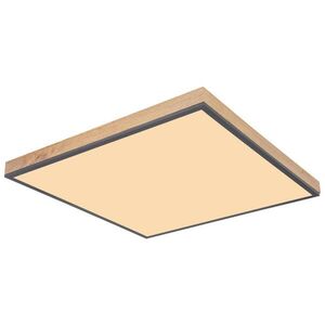 Globo LED PANEL, 59/59/6.5 cm vyobraziť