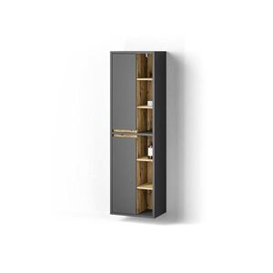 Livinity® KÚPEĽŇOVÁ SKRINKA Vomano antracitová 50 x 170 cm s dverami a otvorenými priehradkami vyobraziť