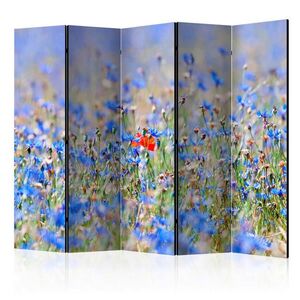 artgeist Paravent einseitig, 225/172/3 cm vyobraziť