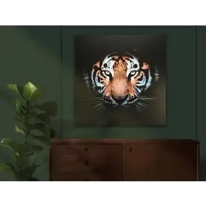 Obraz na plátne Tigrie pohľad, 80x80 cm% vyobraziť