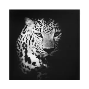 Obraz na plátne Leopard, 50x50 cm% vyobraziť