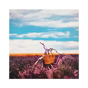 Obraz na plátne Bicykel v levanduli, 50x50 cm% vyobraziť
