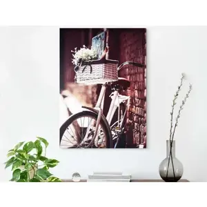 Obraz na plátne Bicykel s košíkom, 50x70 cm% vyobraziť