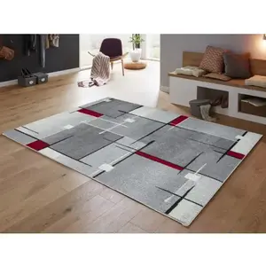 Koberec Thales 80x140 cm, šedo-červený% vyobraziť