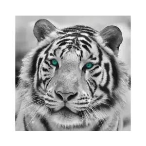 Obraz na stenu Tiger, čiernobiely, 35x35 cm% vyobraziť