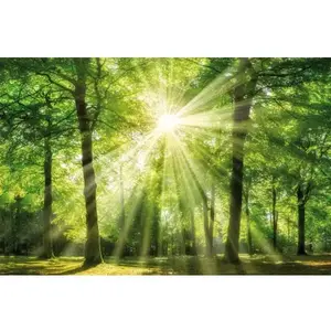 Obraz na stenu Zelený les, 118x78 cm% vyobraziť