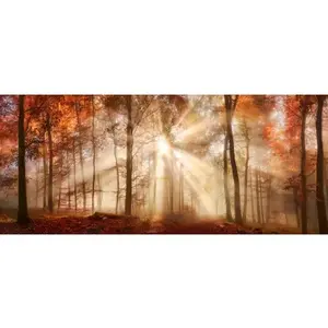 Panoramatický obraz na plátne Jesenný les, 140x60 cm% vyobraziť