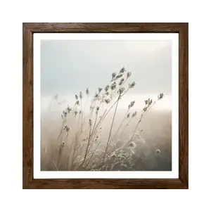 Rámovaný obraz Luční tráva 35x35 cm, dub tmavý% vyobraziť