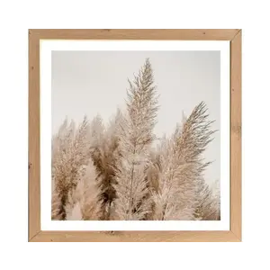 Rámovaný obraz Pampas 35x35 cm, dub artisan% vyobraziť