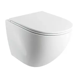 OMNIRES - OTTAWA COMFORT Závesná misa SILENT POWER™ sedátko SOFT, 54 x 37 cm, biele lesk OTTAWACSPMWBP vyobraziť