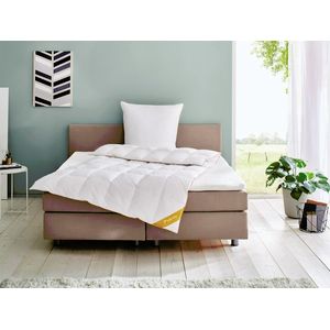 Balette deLuxe Gänsedaunen-Kassettenbettdecke Gold-Edition medium (155 x 220 cm) vyobraziť