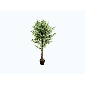 HJH OFFICE Umelá rastlina / umelý strom FICUS plast. vyobraziť