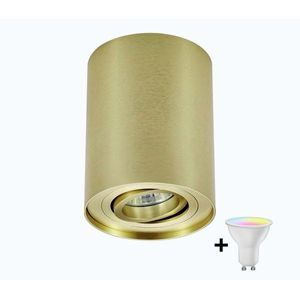 Zuma Line 94354-N - LED RGBW stmievateľné bodové svietidlo RONDOO 1xGU10/4, 8W/230V zlaté + diaľkové ovládanie ZL0286+AI2382 vyobraziť