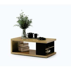 Konferenčný stôl s policou a úložným priestorom LORA 110x60 cm dub artisan/čierna 5903631917318 vyobraziť