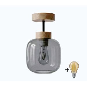 BRILAGI - LED prisadený luster R GLASS 1xE27/60W/230V pr. 14 cm dub/dymovo sivá BG3986+NSTK7758 vyobraziť