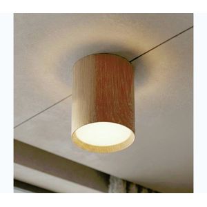 BRILAGI - Točkovno svetilo. SMOOTH LONG 1xGX53/15W/230V 100x82 mm dekor hrasta WO-CD-GX53-M5404-WOOD-OEM vyobraziť