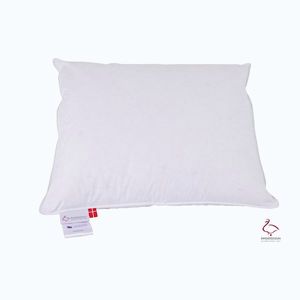 Vankúš s páperovou výplňou 50x60 cm Jack the Dullard – Ringsted Dun vyobraziť