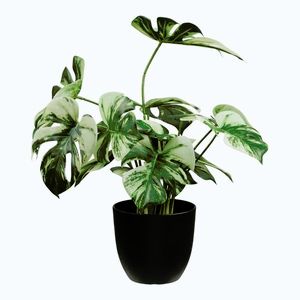 Umelý kvet (výška 41 cm) Monstera – House Nordic vyobraziť