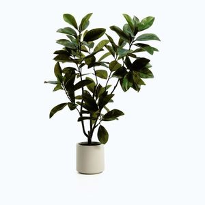 Umelá rastlina (výška 160 cm) Magnolia – Kave Home vyobraziť
